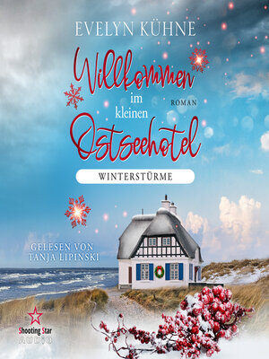 cover image of Winterstürme--Willkommen im kleinen Ostseehotel, Band 1 (ungekürzt)